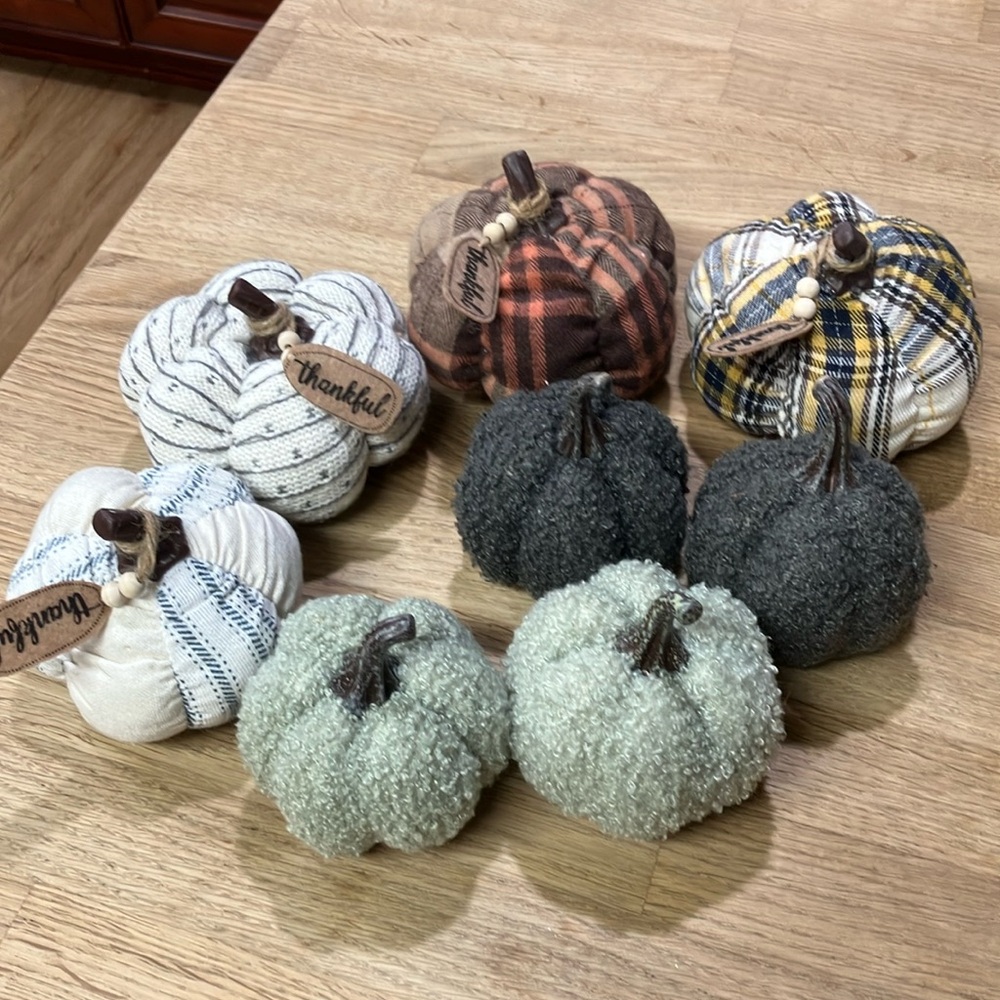 Fall set pumpkins decorations